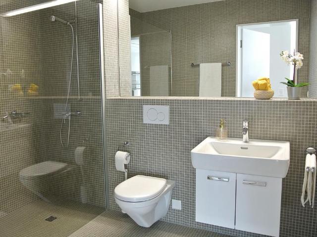 Apartment mieten in Einigen, Zürich