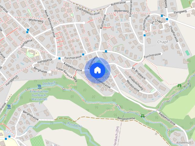 Apartment mieten in Kappeli, Erlenbach (ZH)