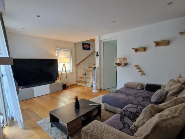 Apartment mieten in Gariss, Bellinzona