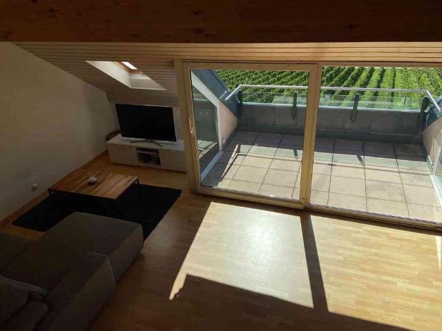 Haus mieten in Mont-sur-Rolle, Waadt