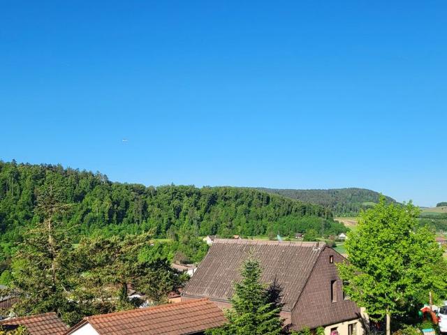 Apartment mieten in Glattfelden, Zürich