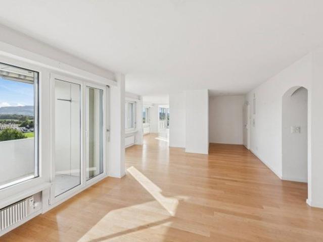 Apartment mieten in Unterengstringen, Bezirk Dietikon