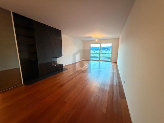 Apartment mieten in Paradiso, Tessin