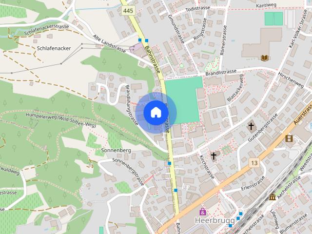 Apartment mieten in Au (SG), St. Gallen