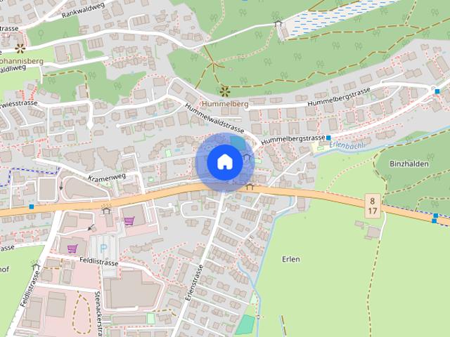 Apartment mieten in Rapperswil-Jona, St. Gallen