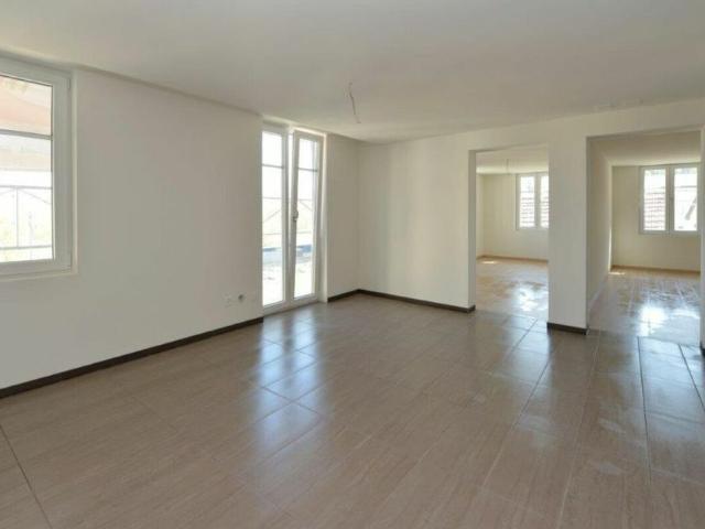 Apartment mieten in Rheineck, St. Gallen