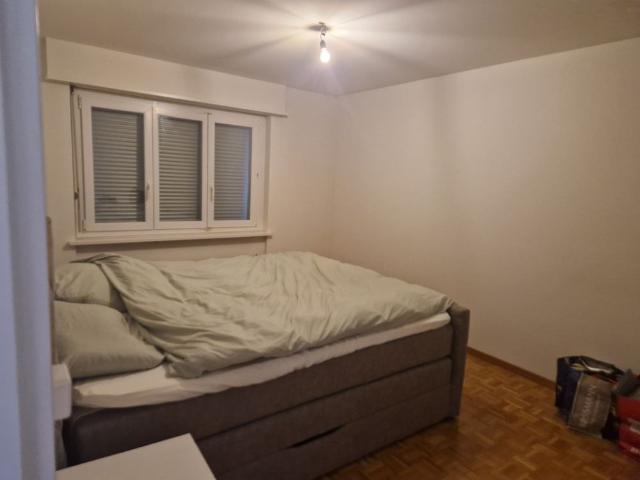 Apartment mieten in Rudolfstetten, Aargau