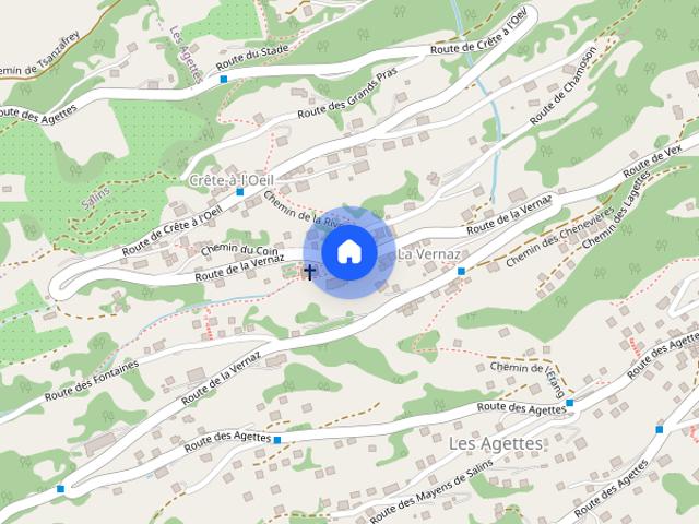 Apartment mieten in Les Mayens-de-Sion, Wallis