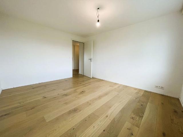 Apartment mieten in Reinach (AG), Aargau