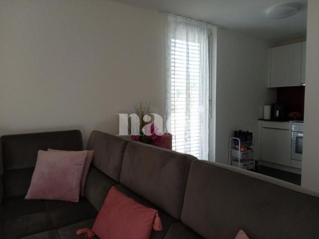 Apartment mieten in Areuse