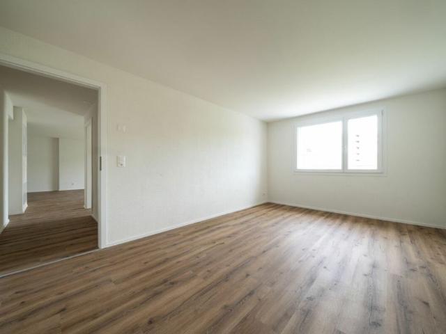 Apartment mieten in Diessenhofen, Thurgau