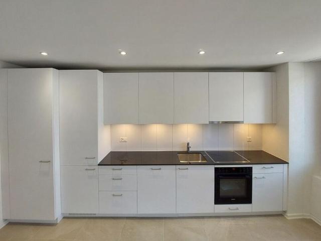Apartment mieten in Einigen, Zürich
