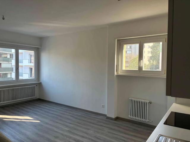 Apartment mieten in Rancate, Mendrisio