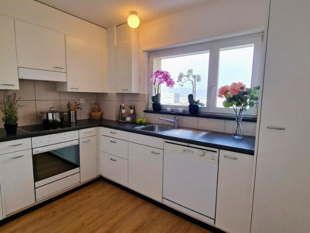 Apartment mieten in Zofingen, Aargau