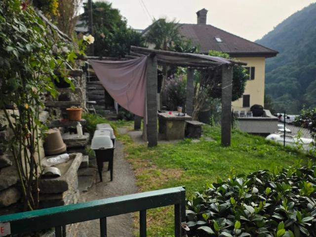 Apartment mieten in Muralto, Distretto di Locarno