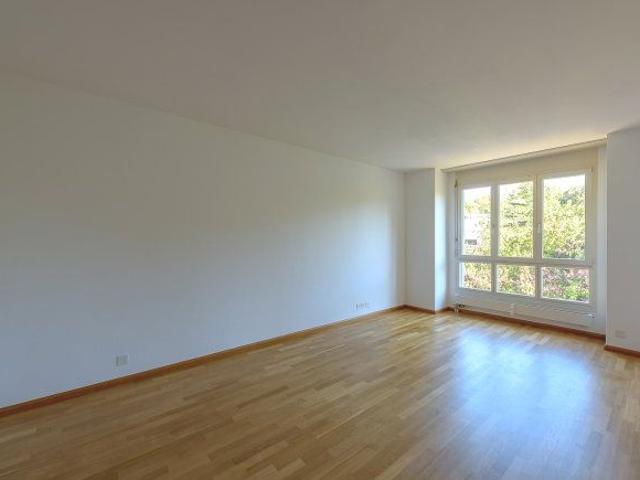 Apartment mieten in Birsfelden, Bezirk Arlesheim