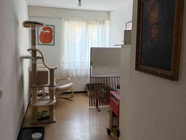 Haus mieten in Belp, Bern