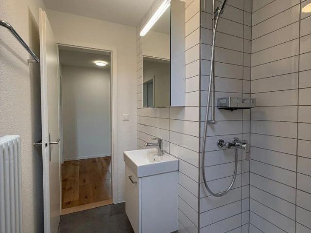 Apartment mieten in Lenzburg, Aargau
