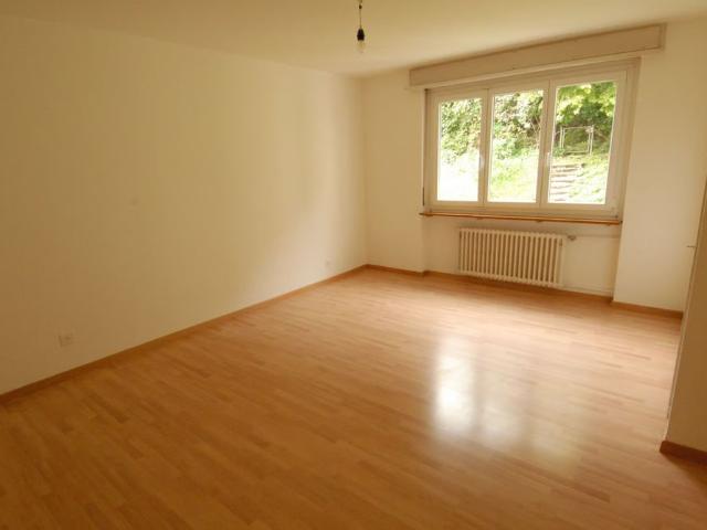 Apartment mieten in Olten, Solothurn