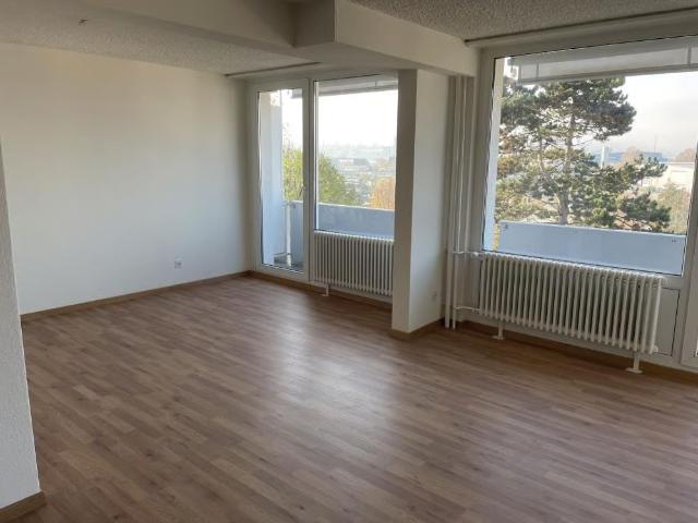 Apartment mieten in Anglikon, Wohlen