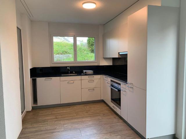 Apartment mieten in Wagenhausen, Thurgau
