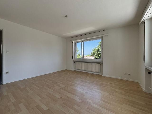 Apartment mieten in Au (SG), St. Gallen