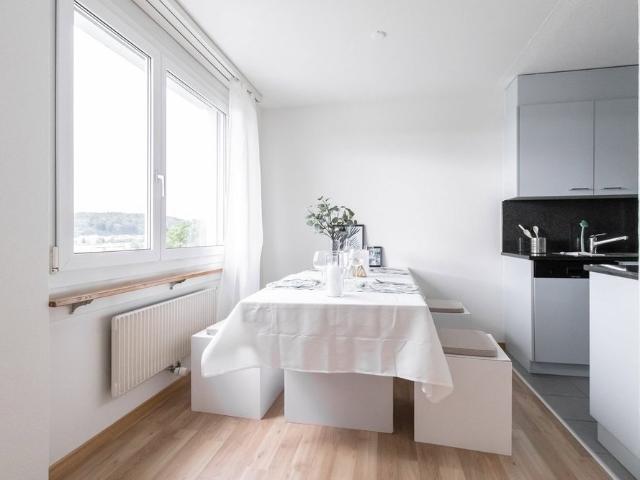 Apartment mieten in Zuchwil, Solothurn