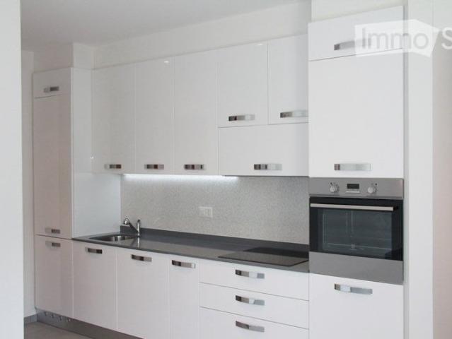 Apartment mieten in Melano, Tessin