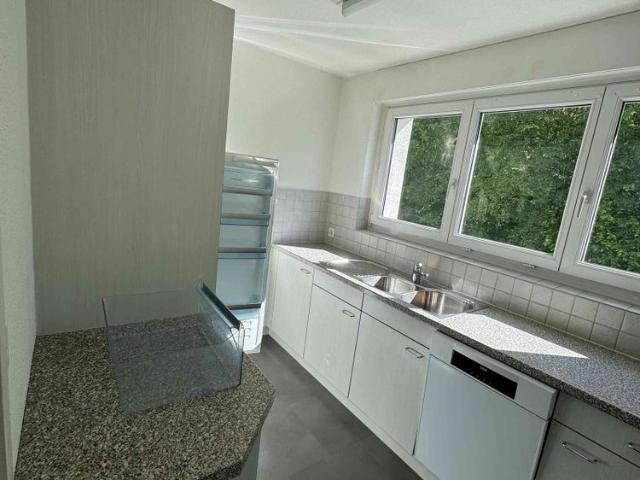 Apartment mieten in Berikon, Aargau