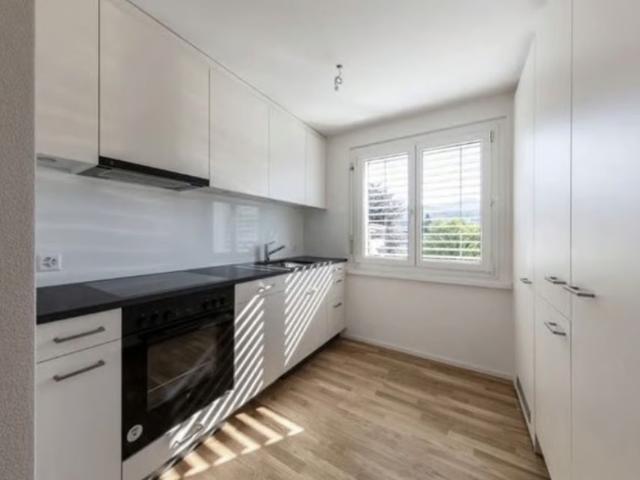 Apartment mieten in Hadlikon, Hinwil