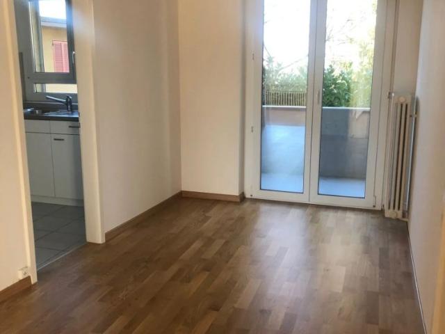 Apartment mieten in Höngg, Oberengstringen