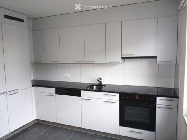 Apartment mieten in Solothurn