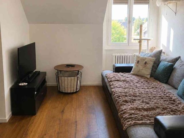 Haus mieten in Solothurn