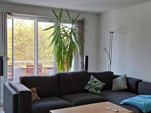 Apartment mieten in Höri, Zürich