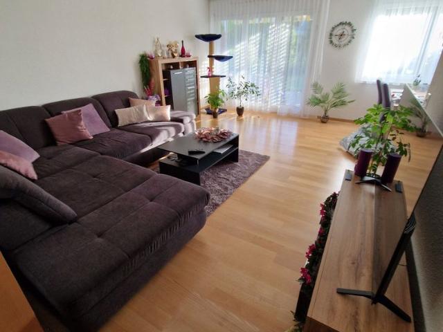 Apartment mieten in Hettlingen, Zürich