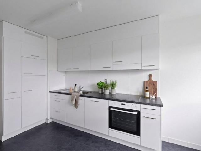 Apartment mieten in Birsfelden, Basel-Landschaft