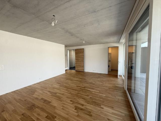 Apartment mieten in Gunzgen, Solothurn