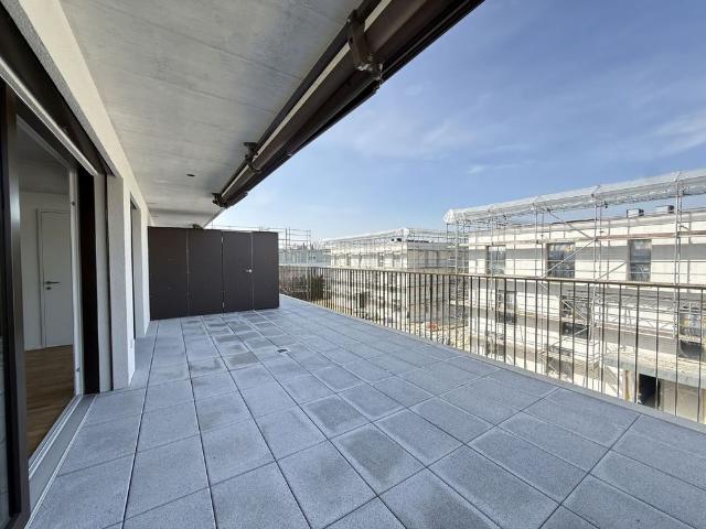 Apartment mieten in Gunzgen, Solothurn