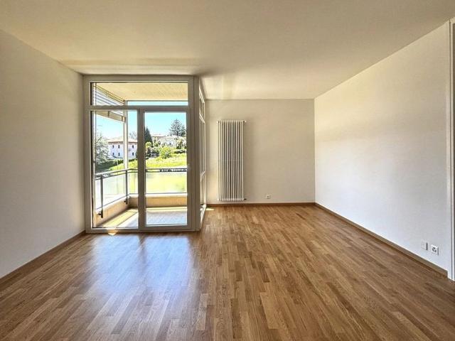 Apartment mieten in Massagno, Tessin