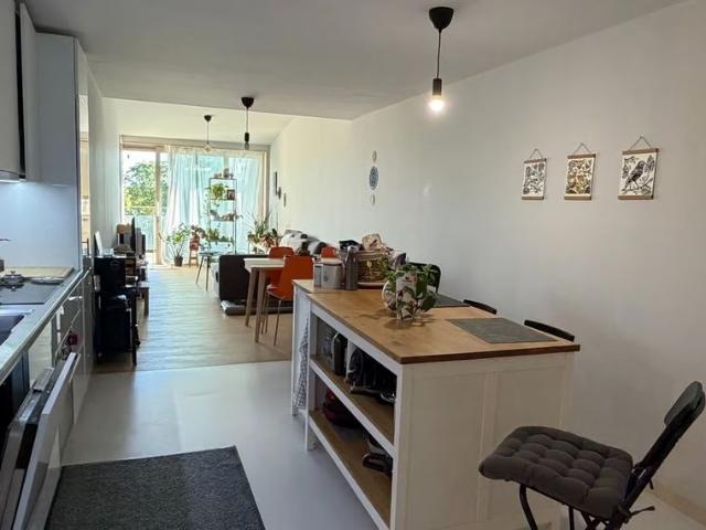 Haus mieten in Nyon, Waadt
