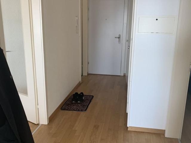 Apartment mieten in Wettingen, Aargau