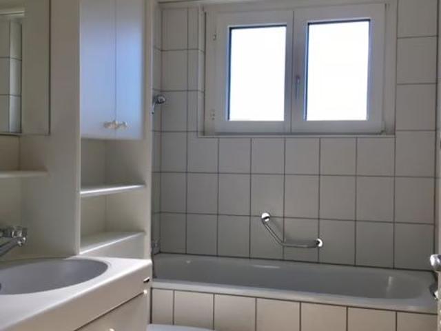 Apartment mieten in Muri Ag, Aargau