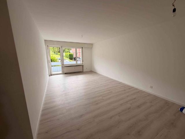 Haus mieten in Pratteln, Basel-Landschaft
