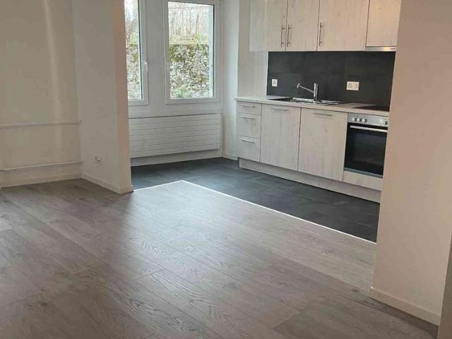 Apartment mieten in Moudon, Waadt