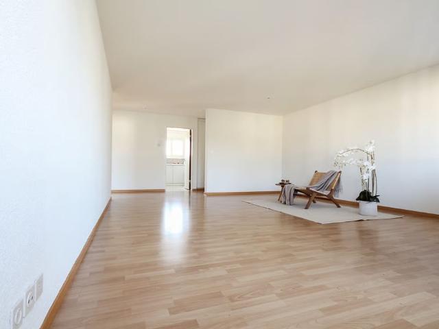Apartment mieten in Dulliken, Amtei Olten-Gösgen
