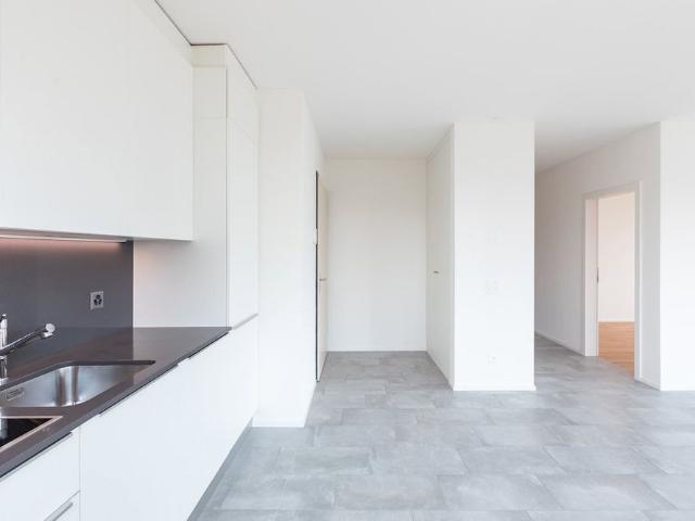 Apartment mieten in Massagno, Tessin