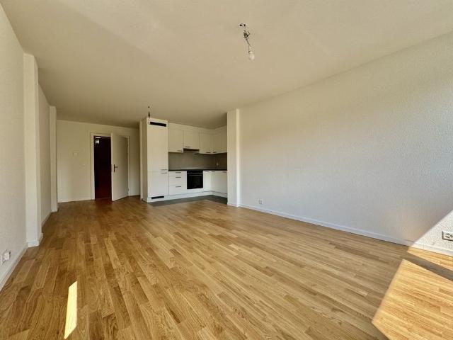 Apartment mieten in Laufen, Basel-Landschaft