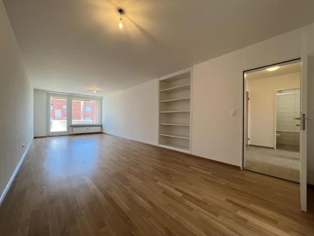 Apartment mieten in Basel, Basel-Stadt