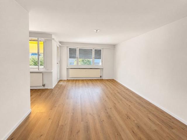 Apartment mieten in Birsfelden, Basel-Landschaft