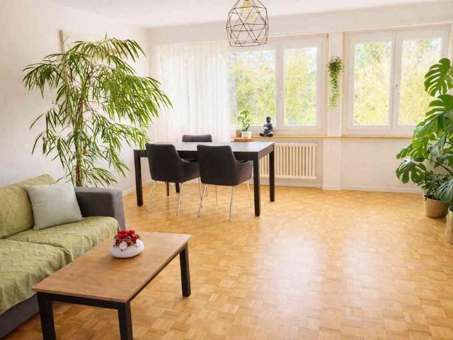 Apartment mieten in Berikon, Aargau
